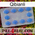 Qibianli 21